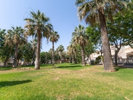 items-16058-1213779.jpg