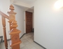 items-13010-1226845.jpg